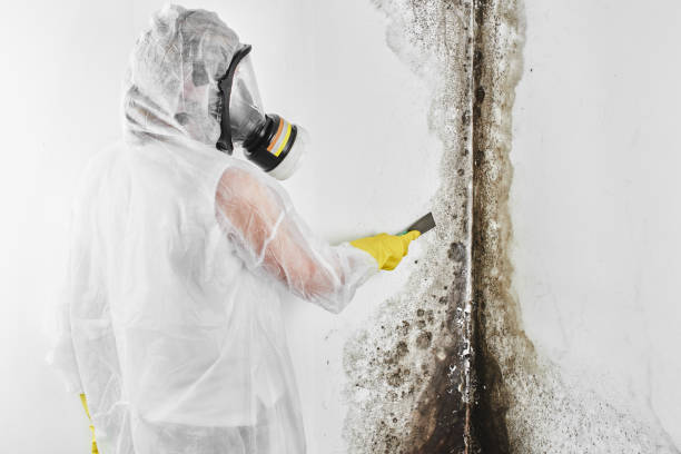 Mclean, VA Mold Remediation Company