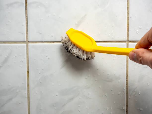 Best Industrial Mold Remediation in Mclean, VA