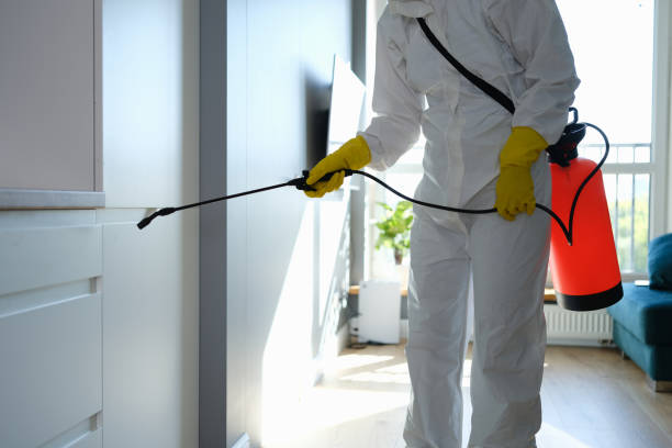 Best Residential Mold Remediation in Mclean, VA