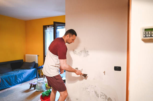 Best Residential Mold Remediation in Mclean, VA